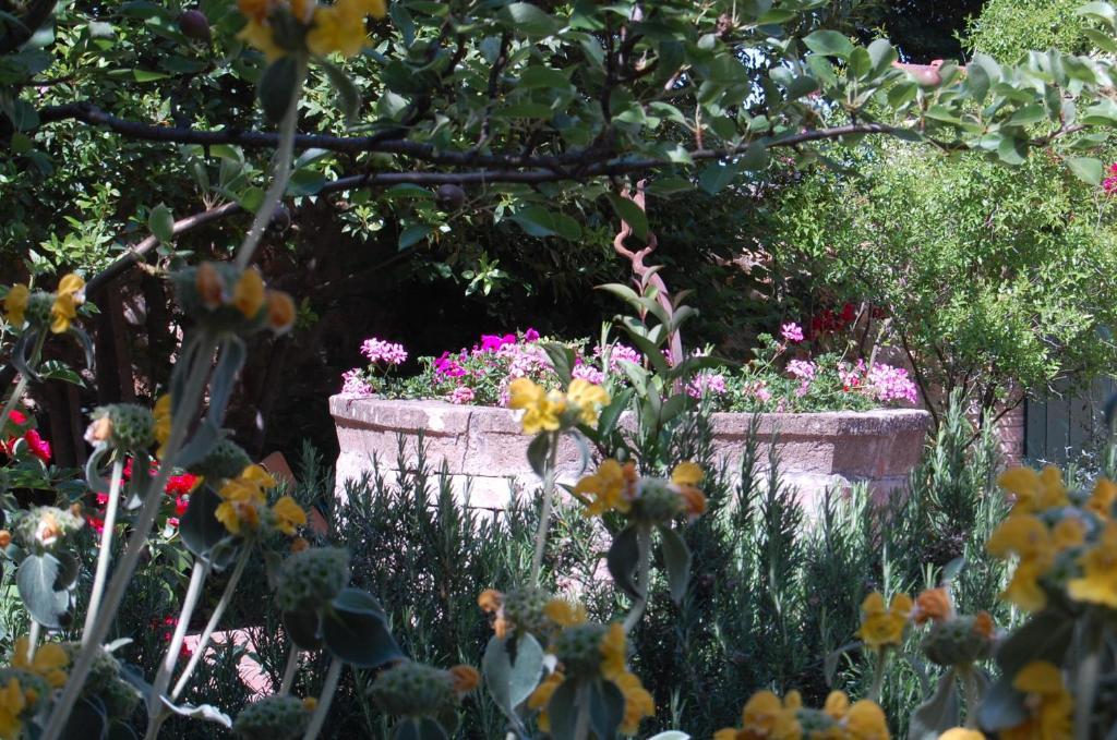 Il Giardino Segreto Hotel Pienza Exterior photo